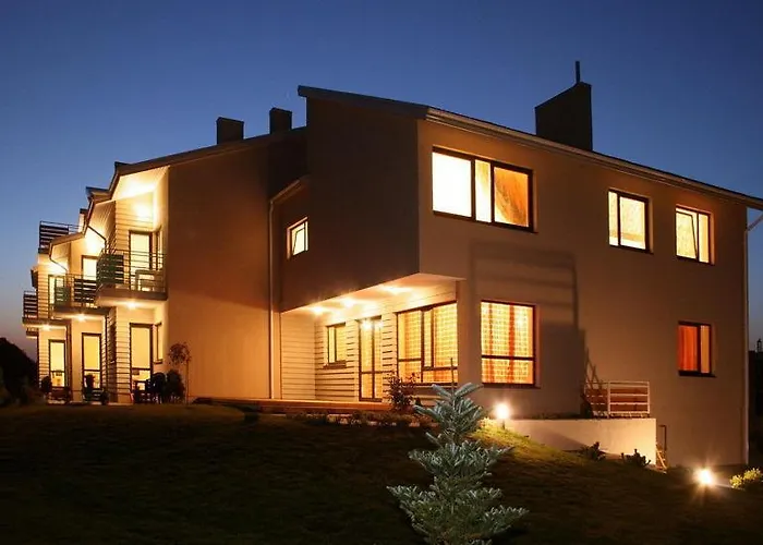 Verbena פלאנגה