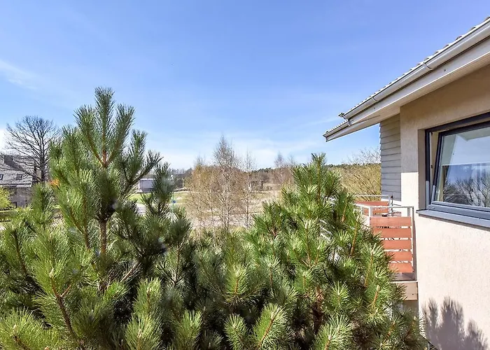 Verbena 3* פלאנגה