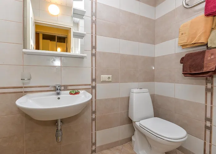 Verbena פלאנגה